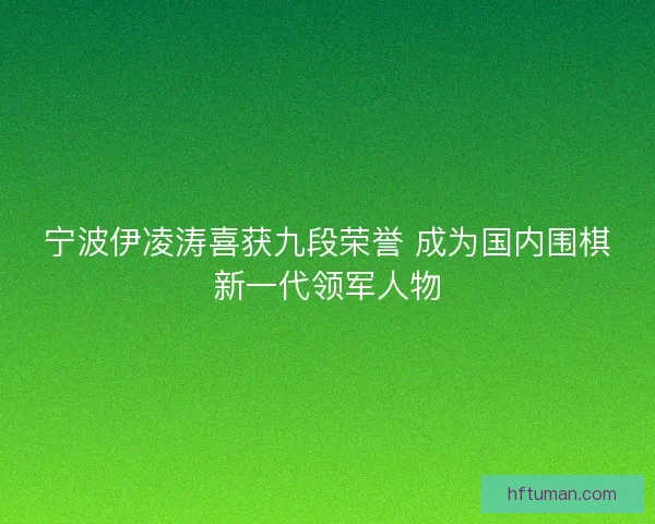 宁波伊凌涛喜获九段荣誉 成为国内围棋新一代领军人物