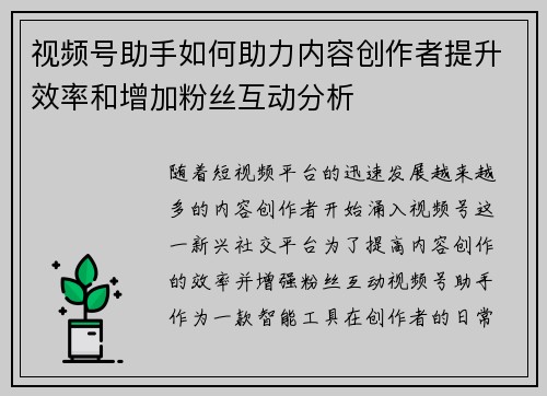 视频号助手如何助力内容创作者提升效率和增加粉丝互动分析